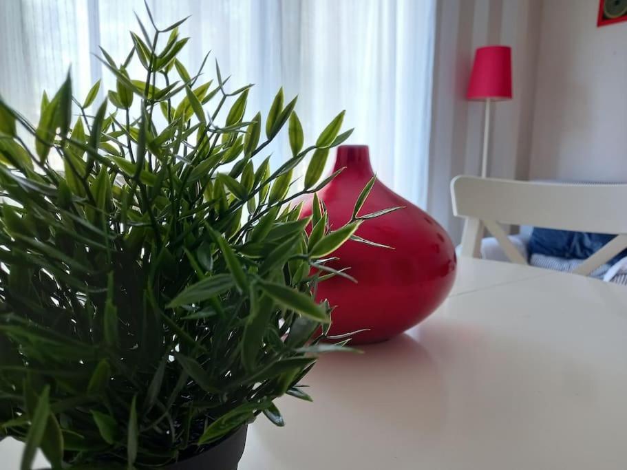Apartamento Tranquilo Cerca De Zonas Verdes Сьєса Екстер'єр фото